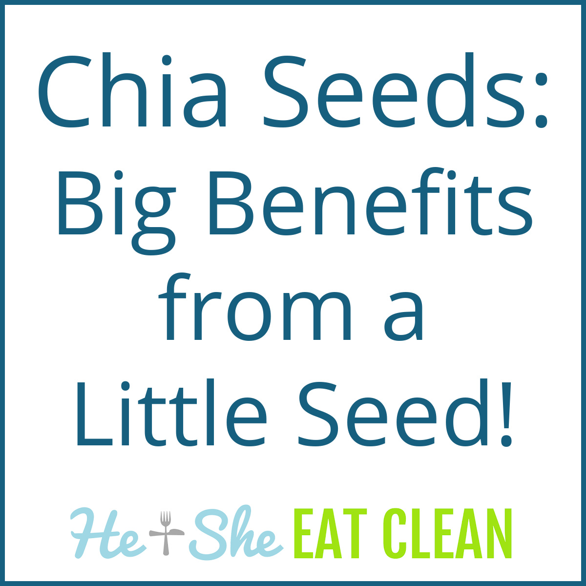 text reads Chia Seeds - Big Benefits from a Little Seed!