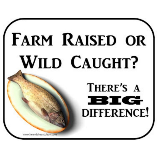 farm raised or wild caught with a fish