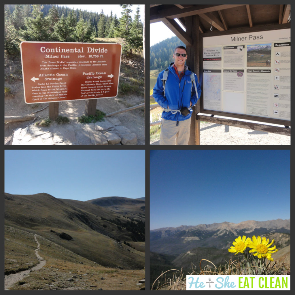photo collage: hiking sign, male standing next to hiking sign, hiking trail leading up a mountain, yellow flowers