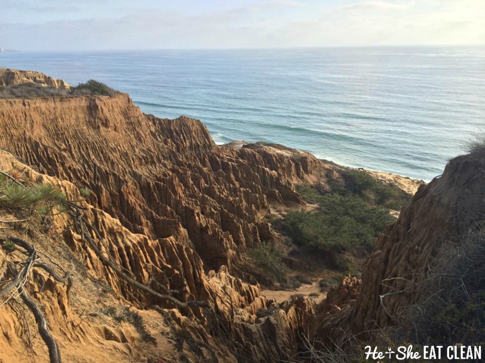 landscape photo of the cliff and ocean in California