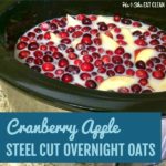 bowl of oats with cranberries and apples on top with text that reads cranberry apple steel cut overnight oats square image