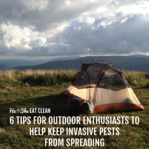 orange and cream tent on top of a mountain with sky and clouds in the background. text reads 6 Tips for Outdoor Enthusiasts to Help Keep Invasive Pests from Spreading