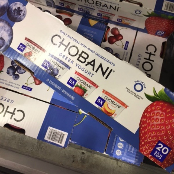 Chobani Greek Yogurt at Costco