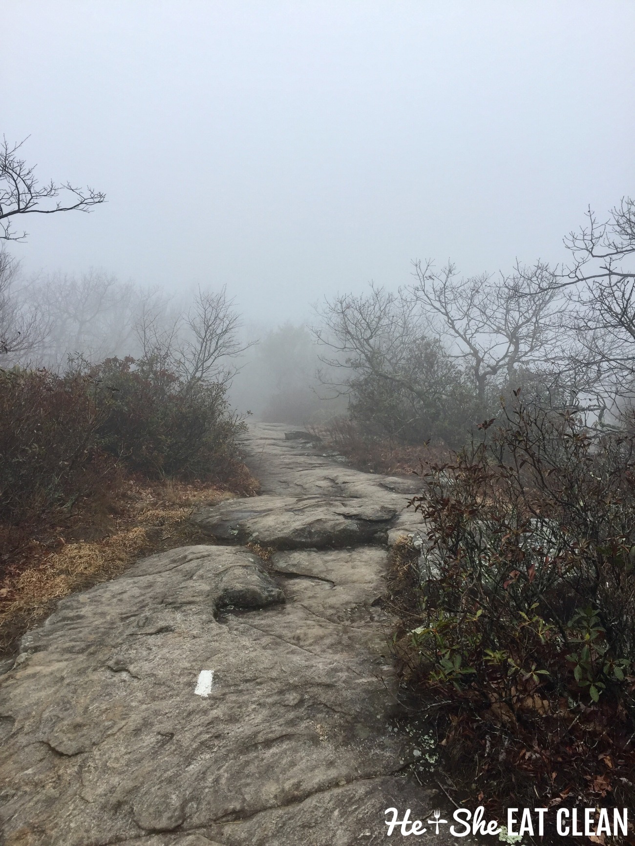  Blood Mountain hike on the Appalachian Trail 