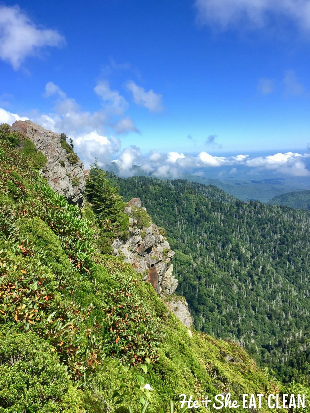  Hiking Charlies Bunion in Great Smoky Mountains National Park 