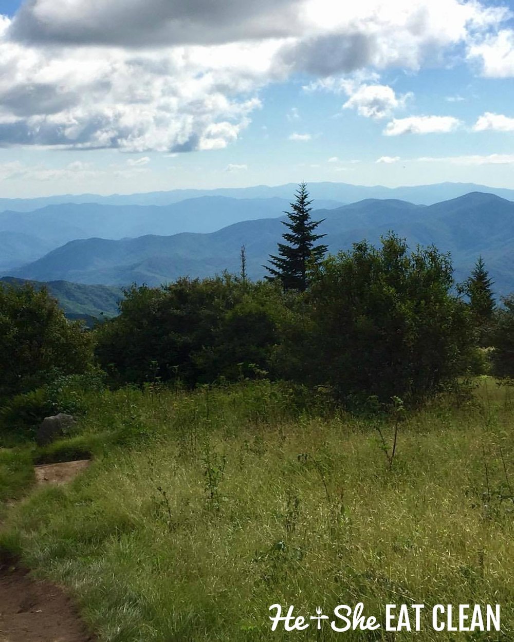  Hiking Andrews Bald in Great Smoky Mountains National Park 