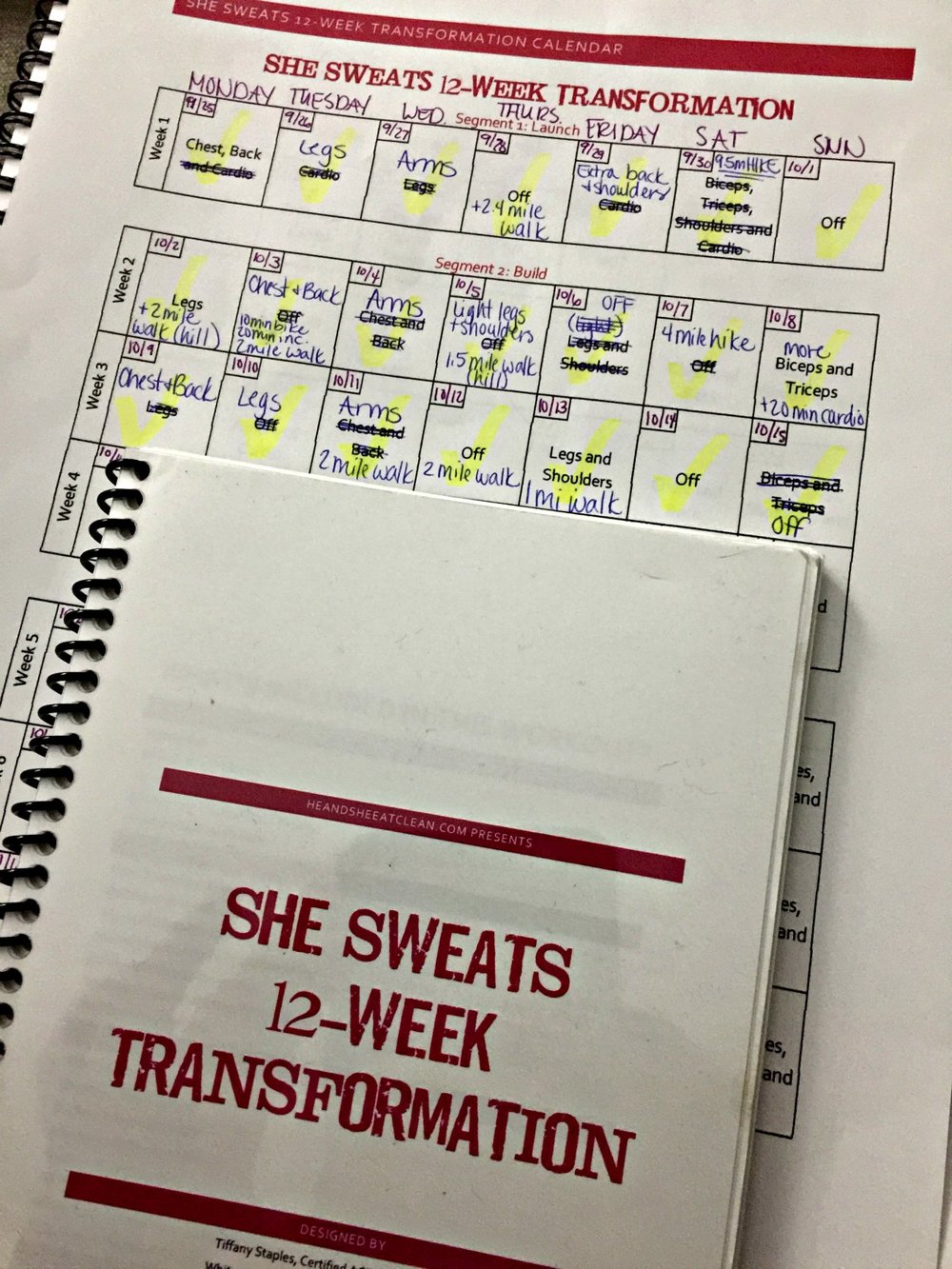  She Sweats 12-Week Transformation 