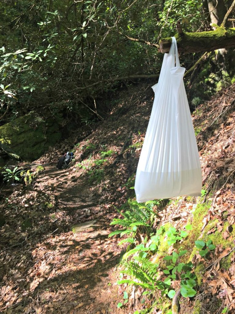 trash bag full of water hanging from a tree limb on a hiking trail