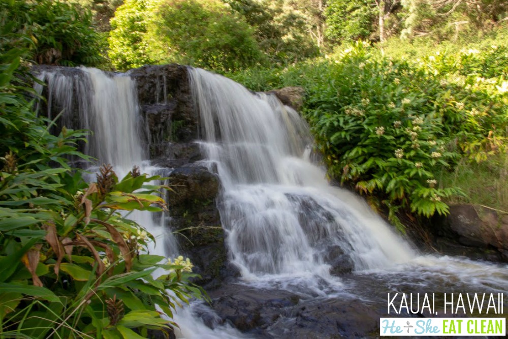 waterfall with green lush landscape around in Kauai, Hawaii
