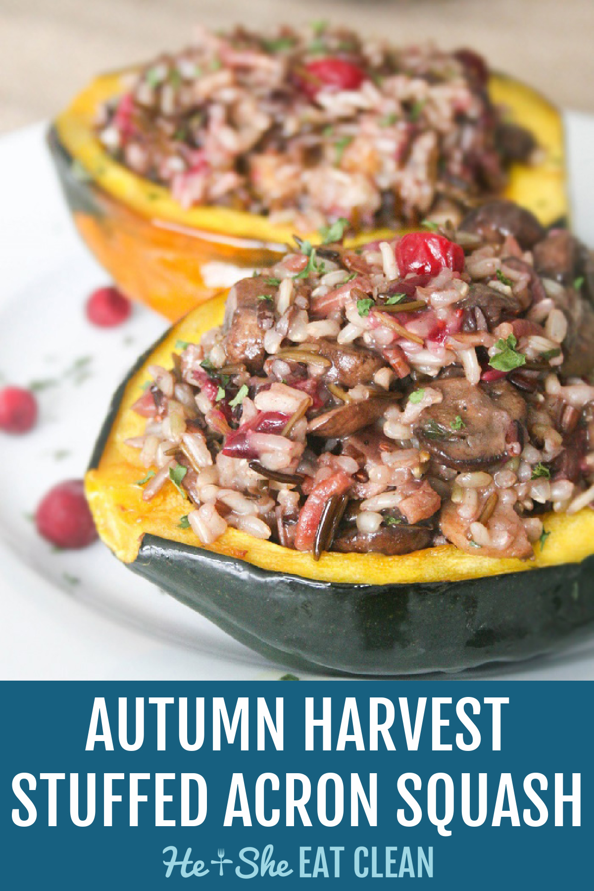 cut squash stuffed with rice and topped with cranberries