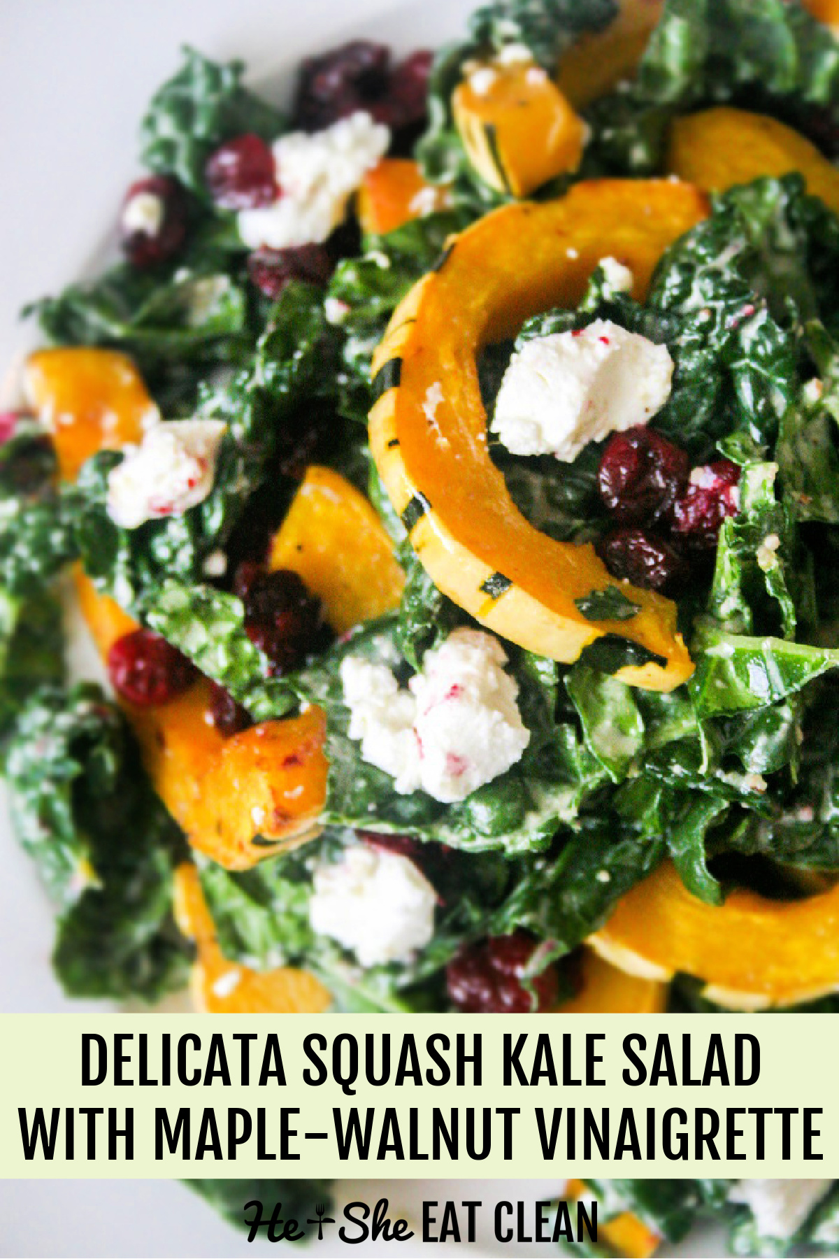 kale salad topped with squash, cheese, and cranberries