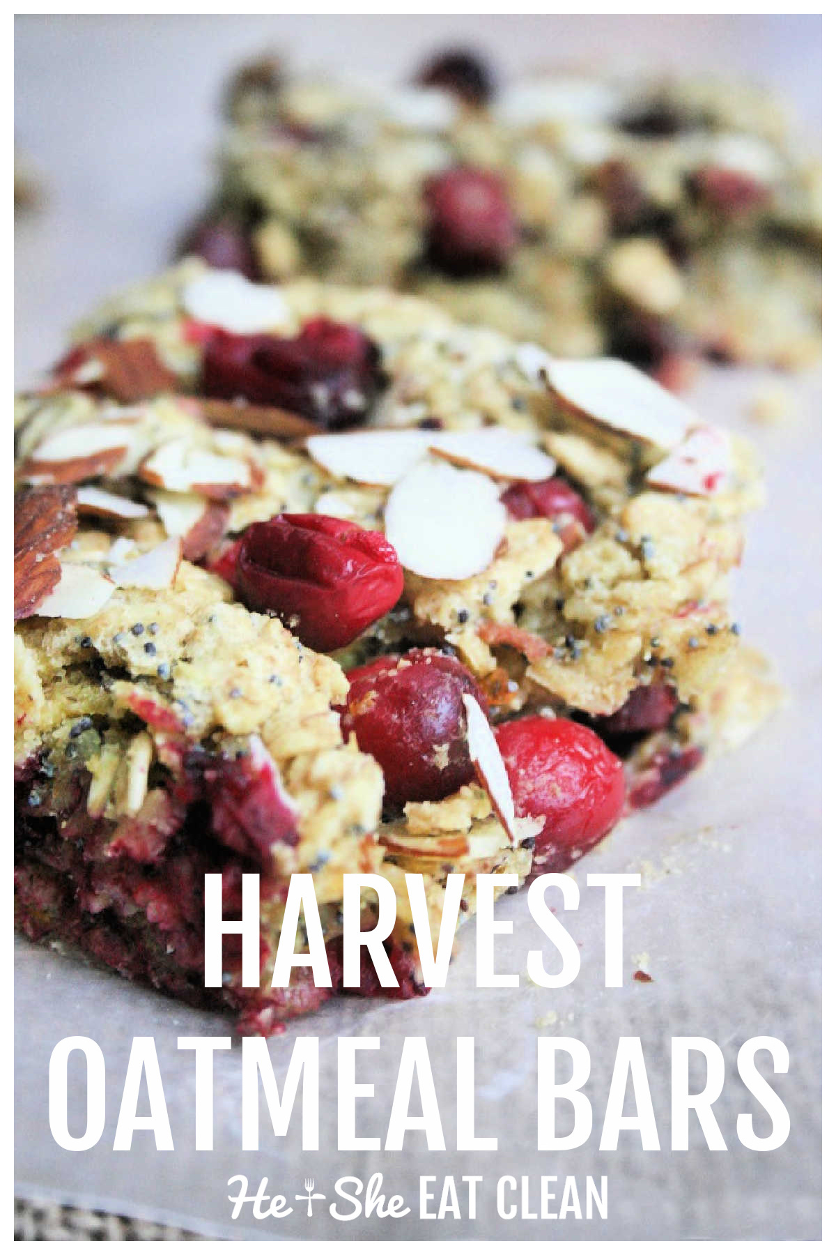 Harvest oatmeal bars with cranberries and almonds