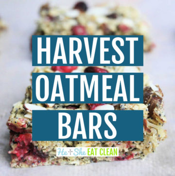 2 oatmeal bars with cranberries